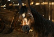 Конёк-Горбунок Конёк-Горбунок