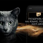 Sheba: язык, понятный вам двоим Акция бренда Sheba