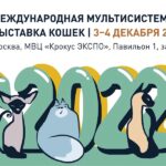 Выставка кошек “Winter Cat Show” в «Крокусе» Winter Cat Show баннер