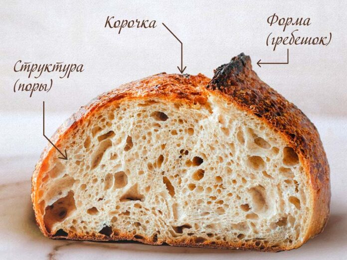 Хлеб в разрезе