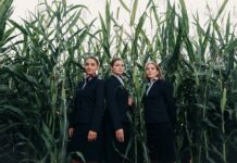 Фильмы марта: от комедии до хоррора Стюардессы на кукурузном поле