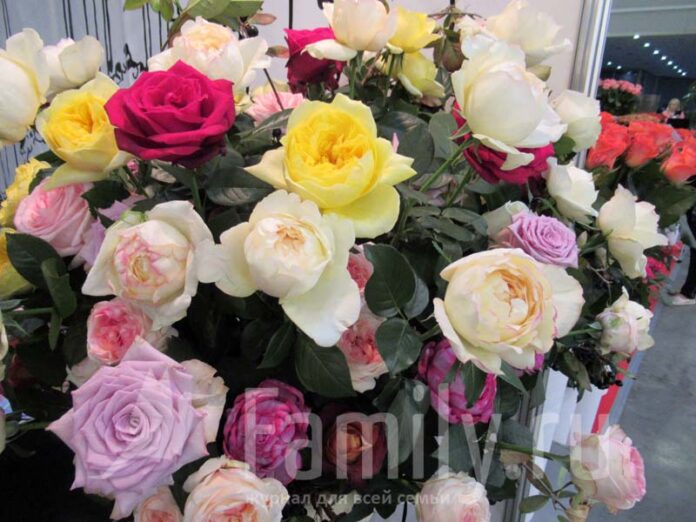 Букеты роз разноцветных