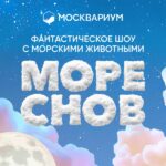 Москвариум: Море снов Море снов афиша