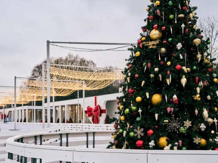 Каток с елкой