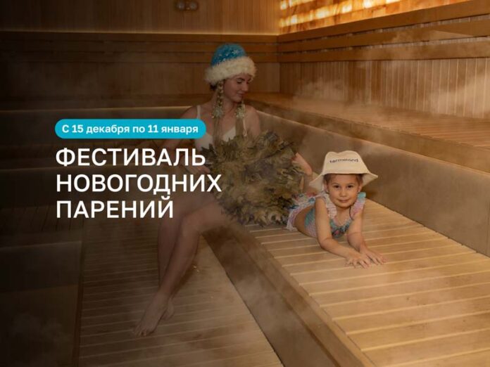 Termolend-fest-dec-25-poster Фестиваль новогодних парений