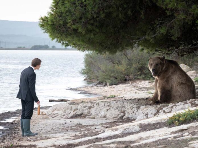 Человек и медведь