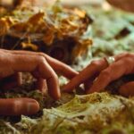 Фильмы февраля: мистика и любовь Руки мужчины и женщины