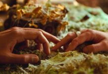 Фильмы февраля: мистика и любовь Руки мужчины и женщины