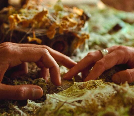 Фильмы февраля: мистика и любовь Руки мужчины и женщины