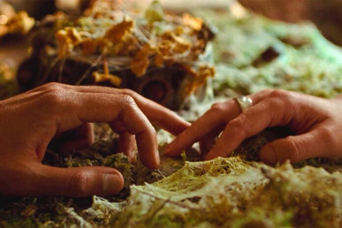 Руки мужчины и женщины