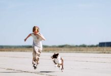 Кино марта: комедия, триллер и наука Мальчик с собакой