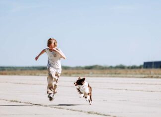 Кино марта: комедия, триллер и наука Мальчик с собакой