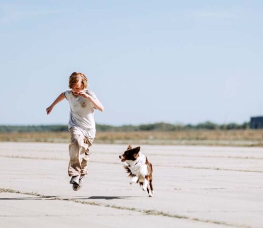 Кино марта: комедия, триллер и наука Мальчик с собакой