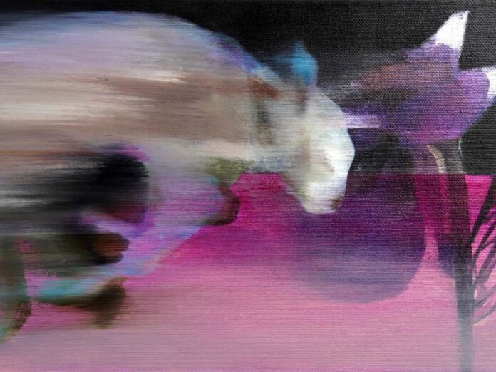 Феномены Выставка на Петровке