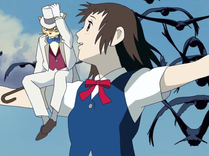 Возвращение кота