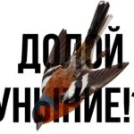 «Три сестры» на Таганке Афиша 3 сестры на Таганке